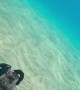 Snorkeler Swims Through Blown Bubble