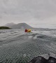 Humpback Whale Briefly Swallows Kayaker