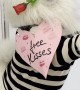 Samoyed Offers Free Kisses for Valentine's Day