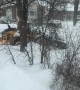 Considerate Snow Plow Keeps Driveway Exits Clear