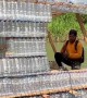 Recycling Bottles Into Boats