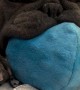 French Bulldog Nooks On Stuffed Toy