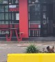 Chicken Hangs Out In Chicken Restaurant Parking Lot