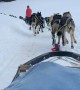 Dog Sledding in Big Sky