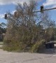 Truck Drags Tree Down Road