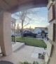 Young Boy Makes Wholesome Apology to Doorbell Camera