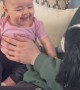 Baby Laughs At Barking Dog
