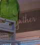 Parrot Curses At Guest