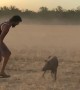 Pig Runs Between Man's Legs