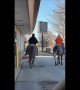 Cowboys Order Drive-Thru