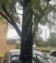 Gutter Stuck Through Windshield After Cyclone Alfred