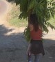 Tree Swing Fail