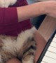 Cat Relaxes In Coat While Owner Plays Piano