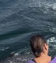 Baby Whale Breaches in Front of Boat