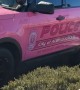 Pink Police Vehicle