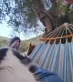 Donkeys Determined to Sit in Hammock
