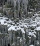 Northern Michigan Ice Storm Freezes Tree Solid