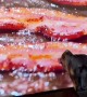 Rottweiler Tries To Lick Bacon On Screen