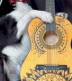 Border Collie Plays Guitar