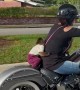 Pet Monkey Rides on Back of Motorcycle