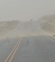 New Mexico Dust Storm and Tumbleweeds