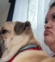 Owner Shares Side Profile With Pet Pug