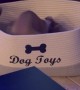 Italian Greyhound Puppy Plays In Toy Box