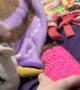 Gordie the Rat Tries on His Gorgeous Sweater