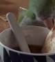 My Parrot Dunked His Cracker in My Tea