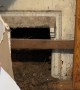 Antique Fireplace Surround Discovered In Vintage Home