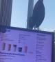 Rooster Perches On The Drive-Through Menu