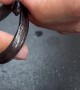Small Snake Swallows It's Own Tail