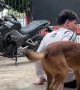 Guy Trips on Bucket While Washing Motorcycle