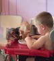 Sphynxes Steal Food From Son