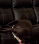 Sleeping Dog Falls Off Couch