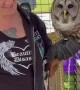 Barred Owl Puts On Show At Yard Sale