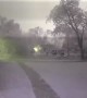 Tree Breaks During Storm in Kalamazoo