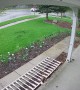 Security Camera Captures Deer Running Into House