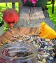 Chirp-Cuterie Board Delights Various Birds