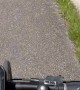 Chihuahua Pup Helps Pedal Bike