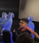 Stitch Costumes for the New Movie