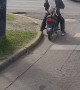 Dog Orders an Ubermoto