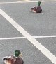 Quack Parking