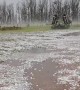 Intense Hailstorm in Buenos Aires Provence, Argentina