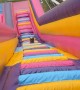 Puppy Plays On Giant Inflatable Slide