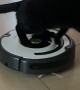 Cat Discovers How to Vacuum