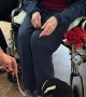 Penguins Visit Friends at an Assisted Living Home