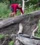 Saving a Baby Deer Trapped in a River