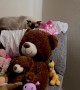 Cats Blend in With Stuffed Animals