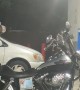 Cool Pit Bull Riding Backseat on a Motorcycle